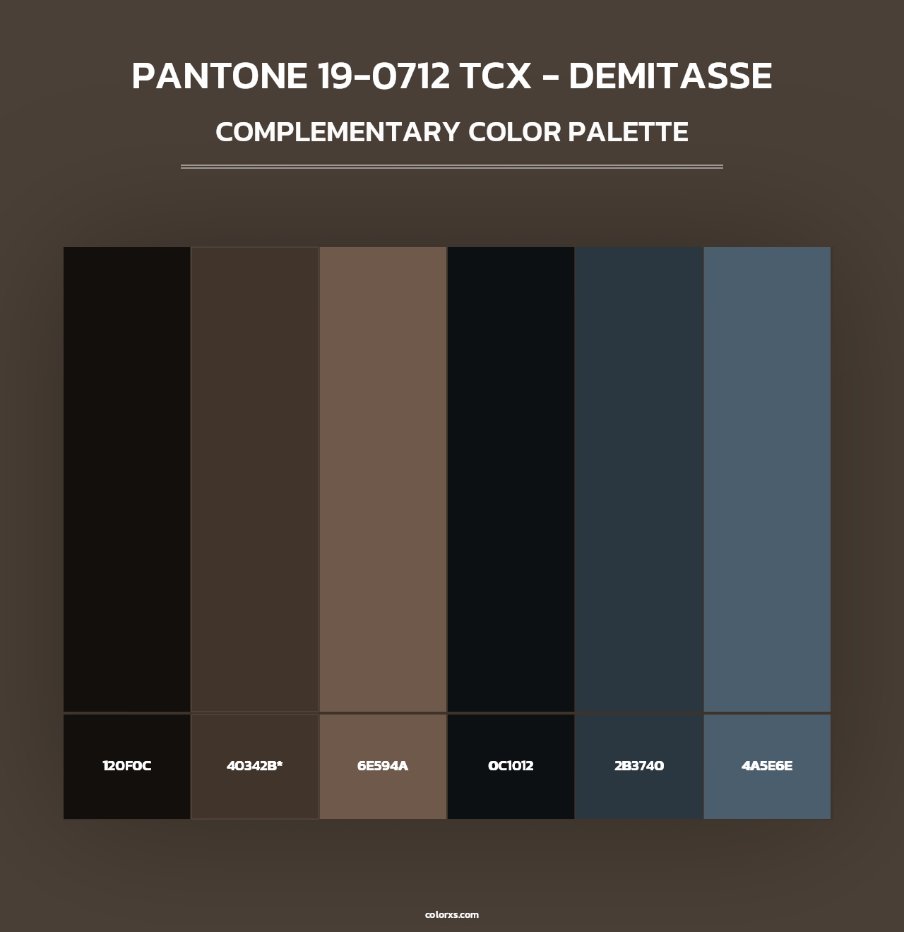 PANTONE 19-0712 TCX - Demitasse - Complementary Color Palette