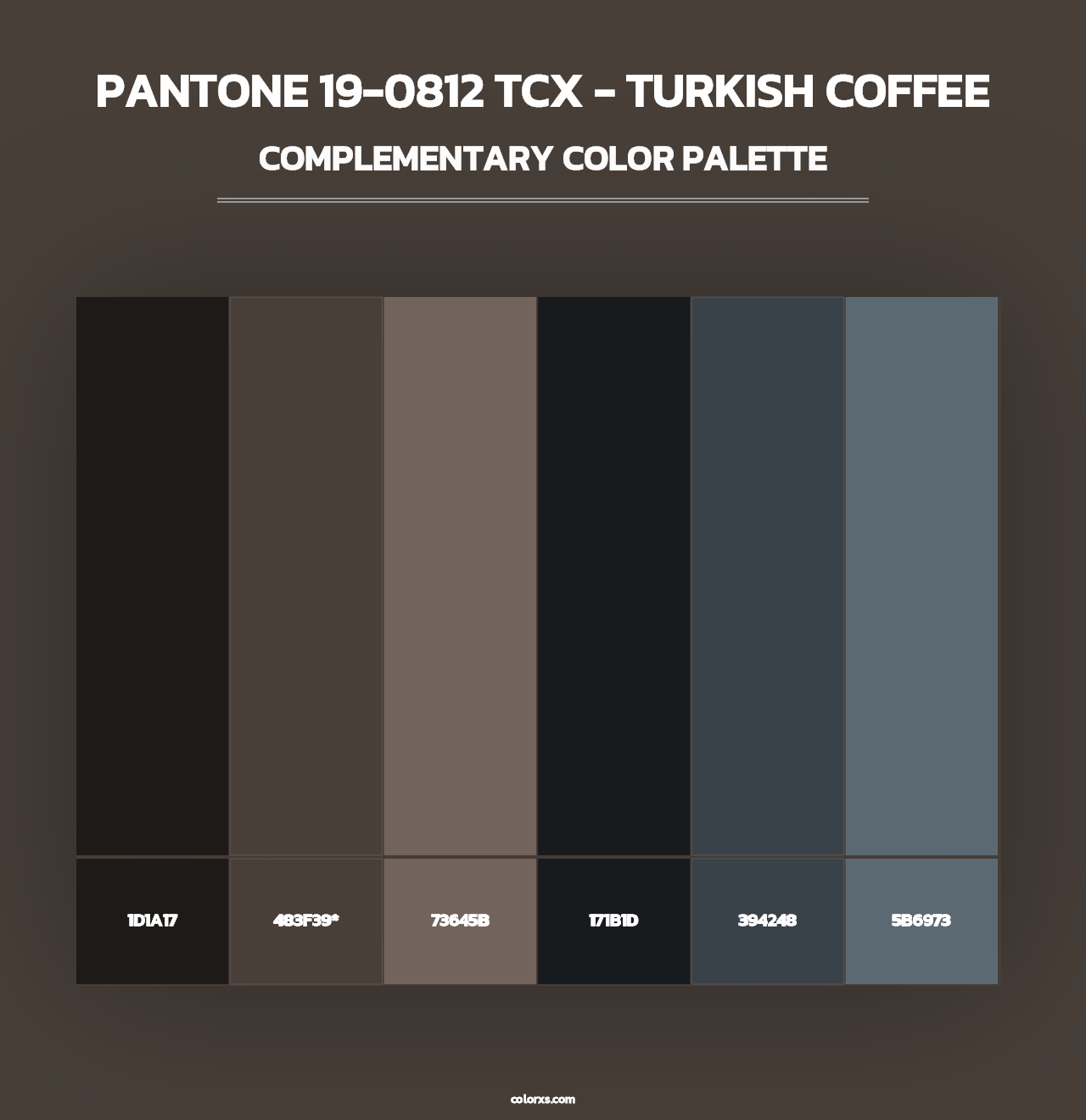 PANTONE 19-0812 TCX - Turkish Coffee - Complementary Color Palette
