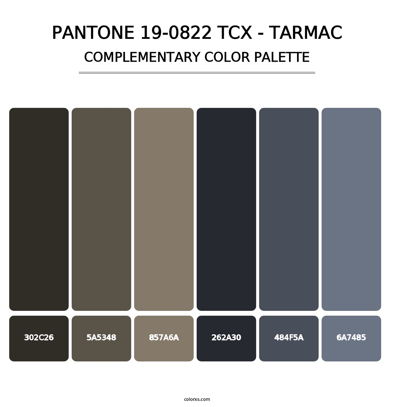 PANTONE 19-0822 TCX - Tarmac - Complementary Color Palette