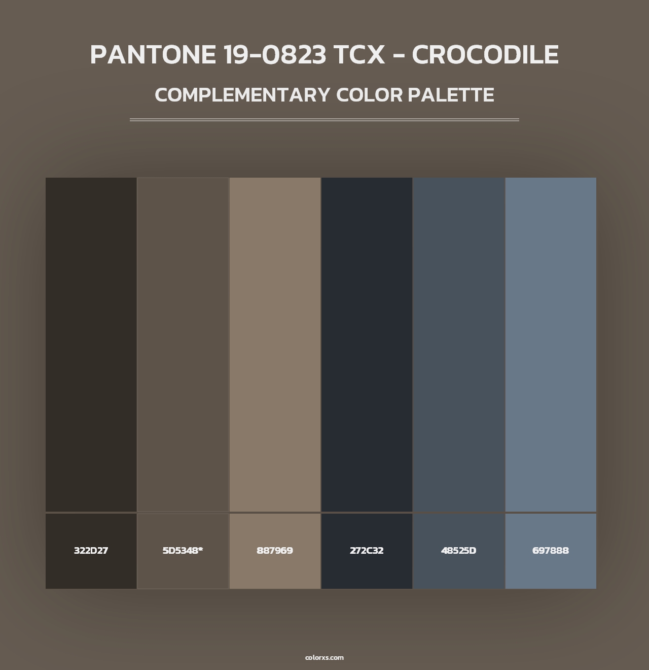 PANTONE 19-0823 TCX - Crocodile - Complementary Color Palette