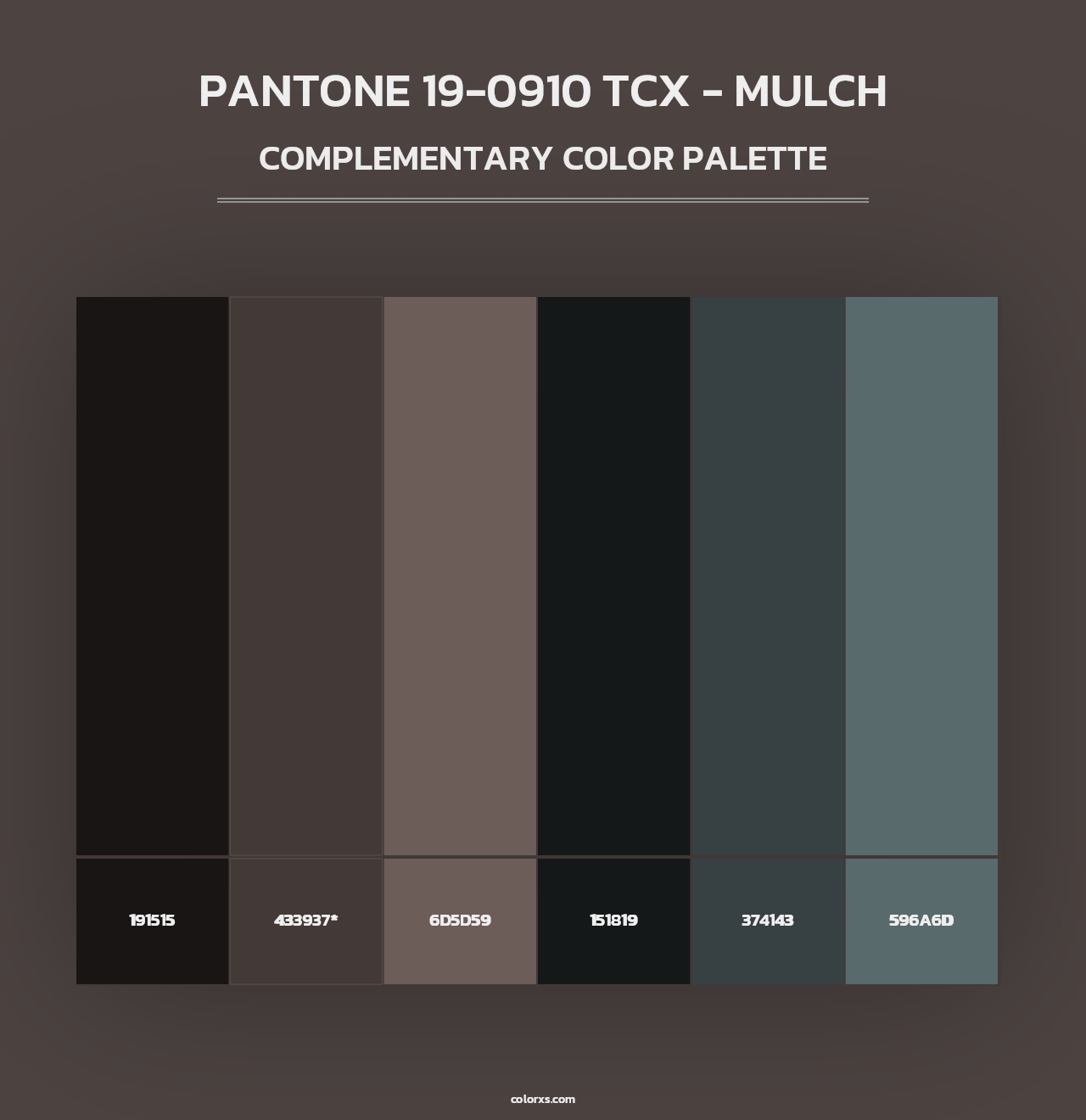 PANTONE 19-0910 TCX - Mulch - Complementary Color Palette