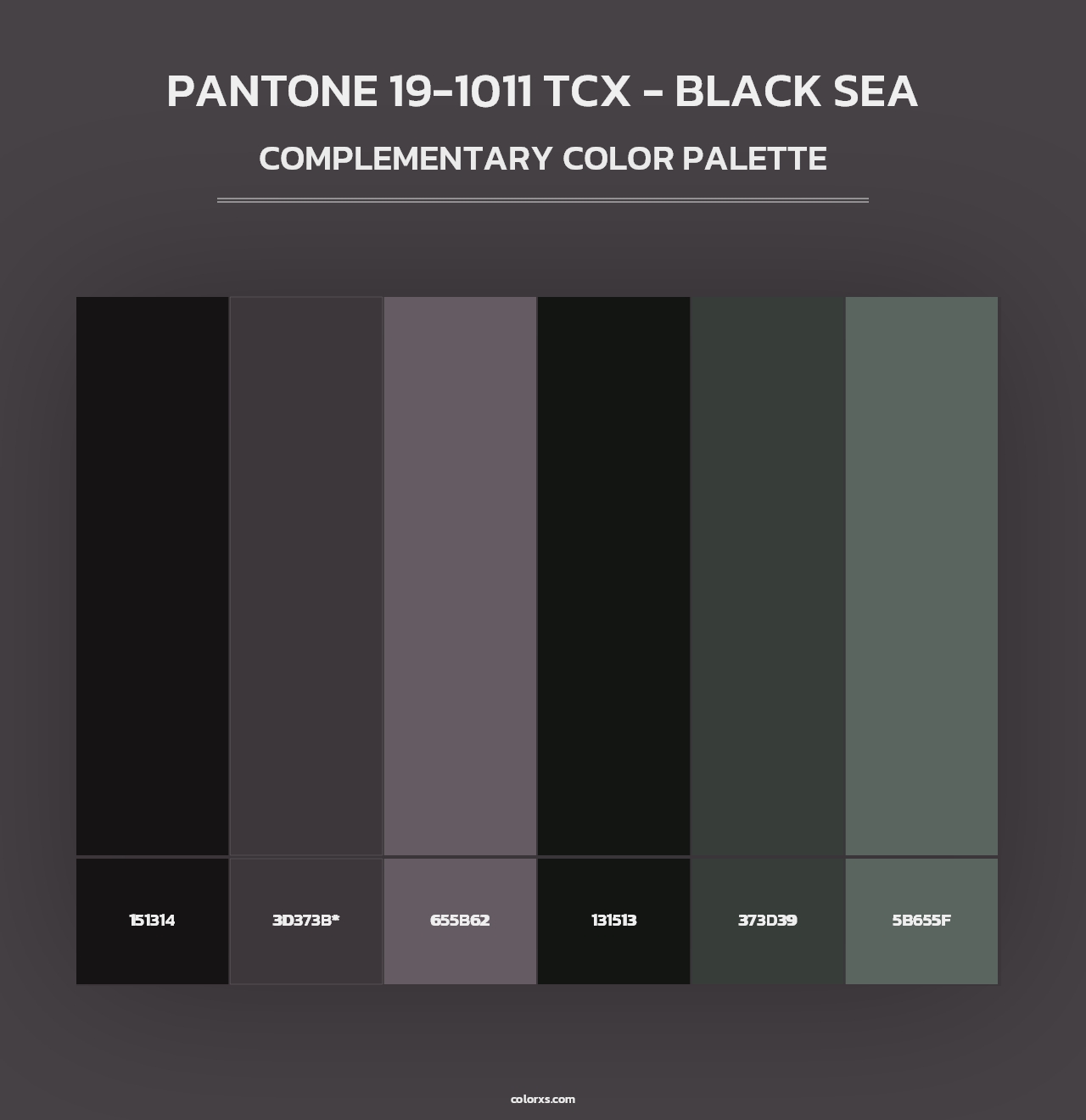 PANTONE 19-1011 TCX - Black Sea - Complementary Color Palette