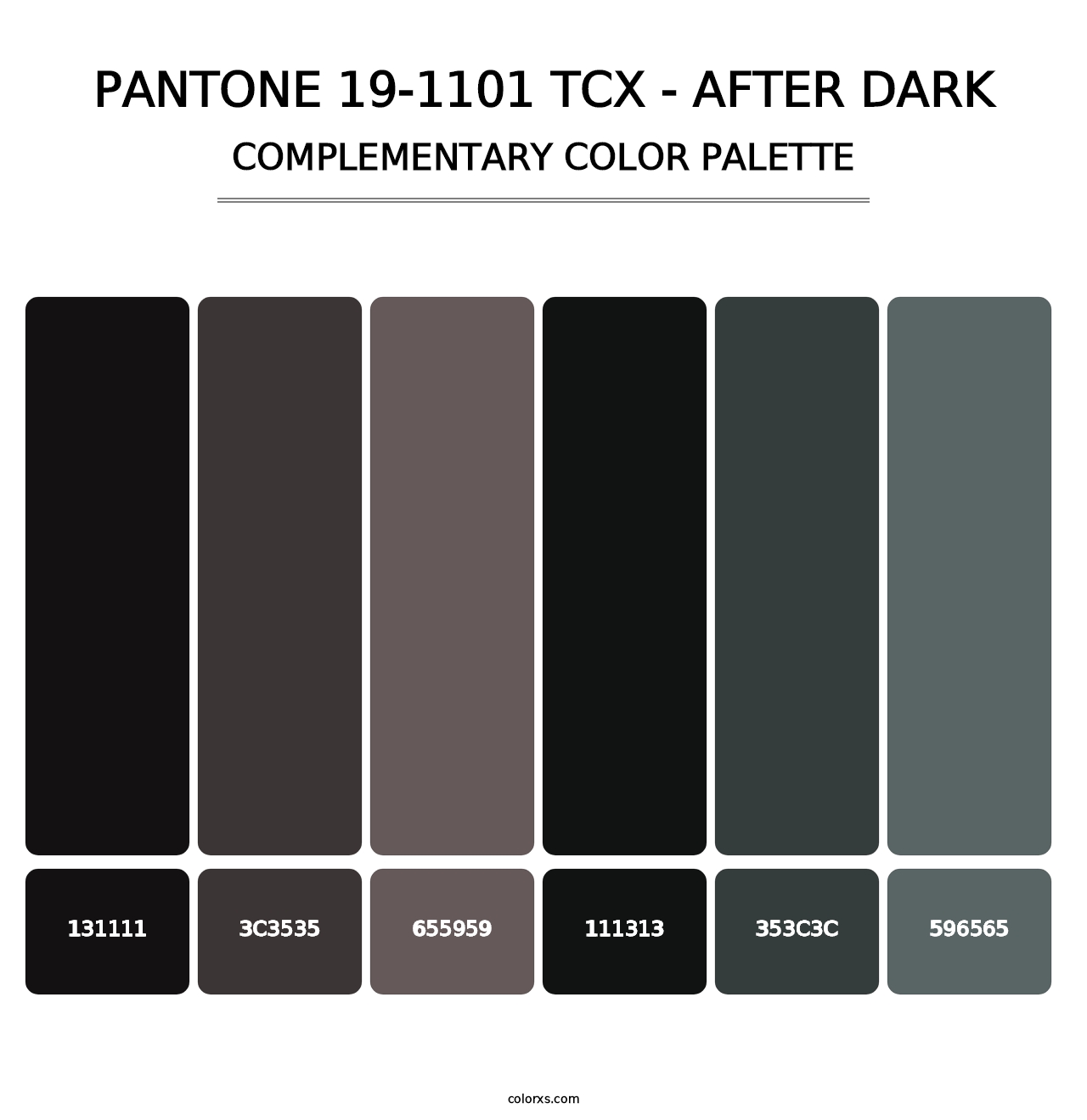 PANTONE 19-1101 TCX - After Dark - Complementary Color Palette