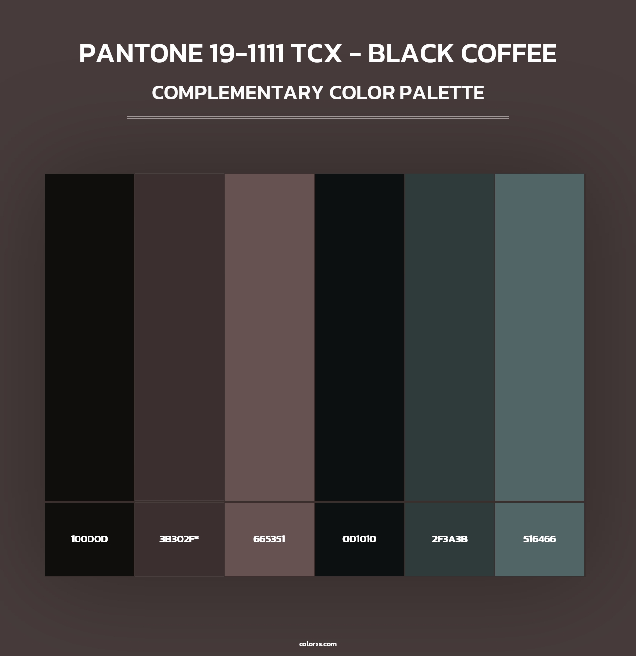 PANTONE 19-1111 TCX - Black Coffee - Complementary Color Palette