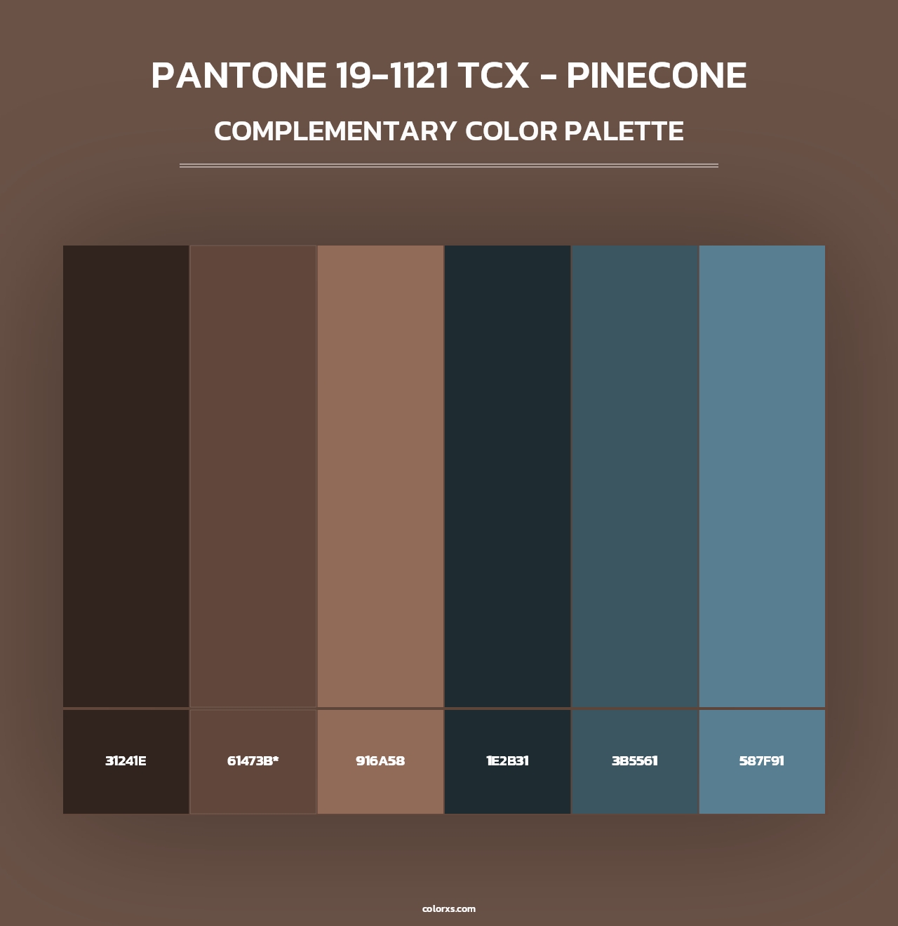 PANTONE 19-1121 TCX - Pinecone - Complementary Color Palette