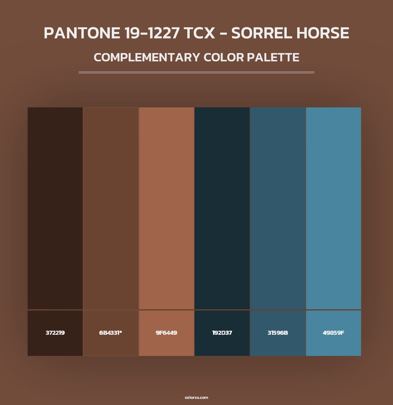PANTONE 19-1227 TCX - Sorrel Horse - Complementary Color Palette