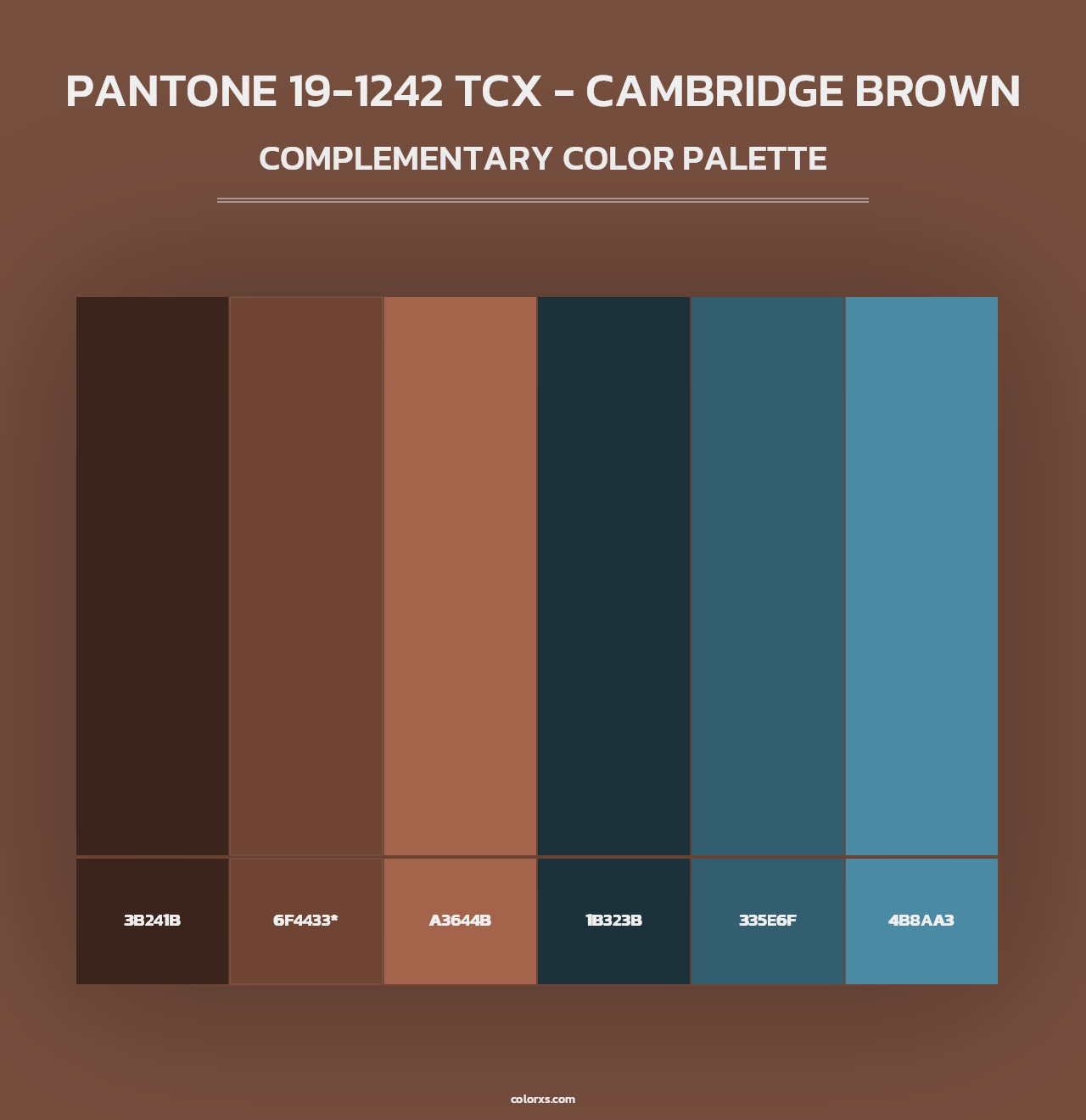 PANTONE 19-1242 TCX - Cambridge Brown - Complementary Color Palette