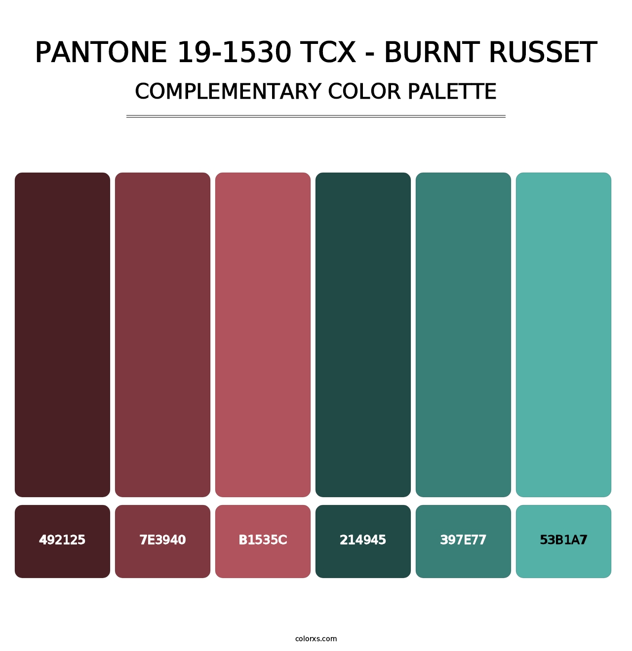 PANTONE 19-1530 TCX - Burnt Russet - Complementary Color Palette