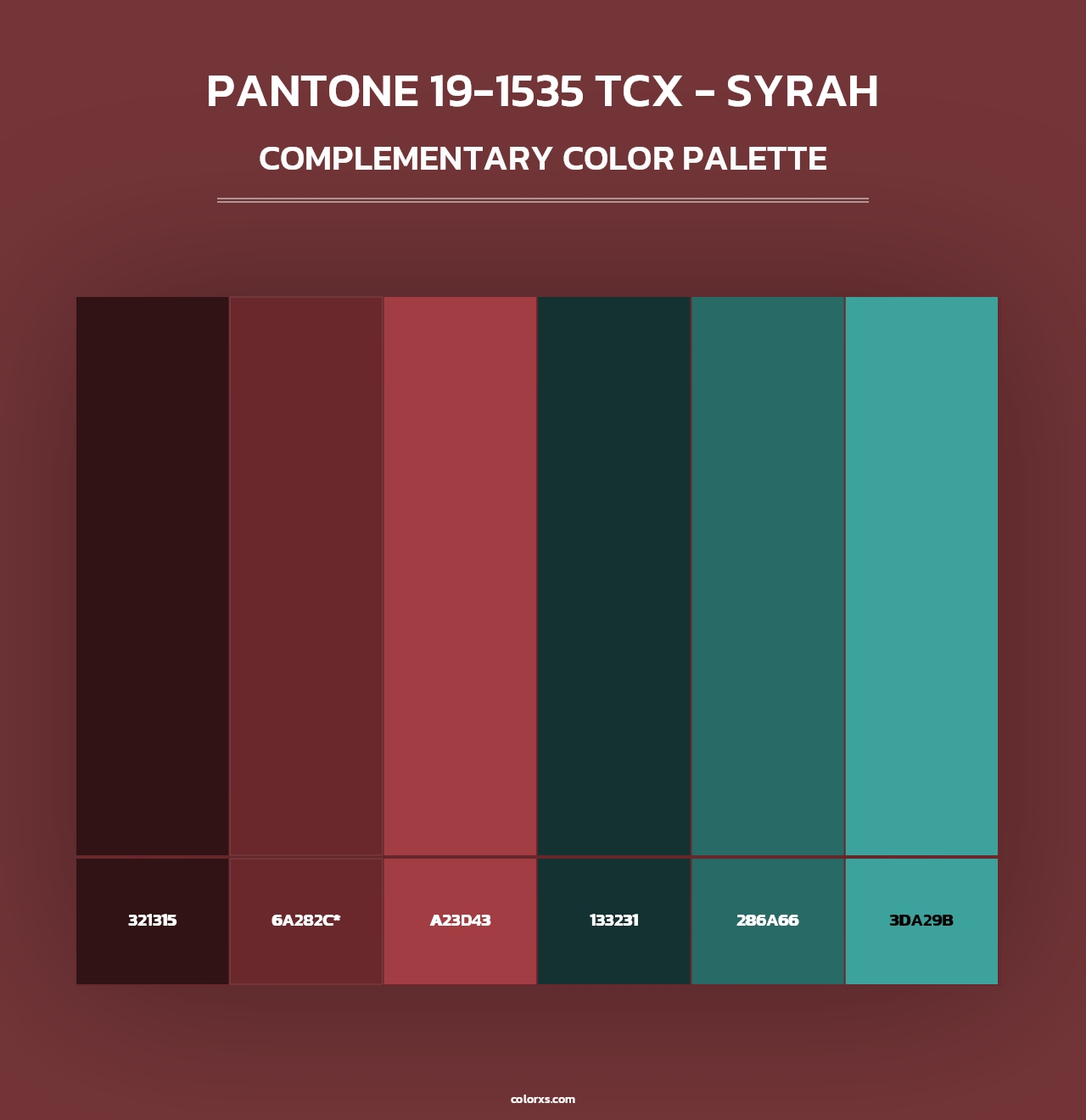 PANTONE 19-1535 TCX - Syrah - Complementary Color Palette