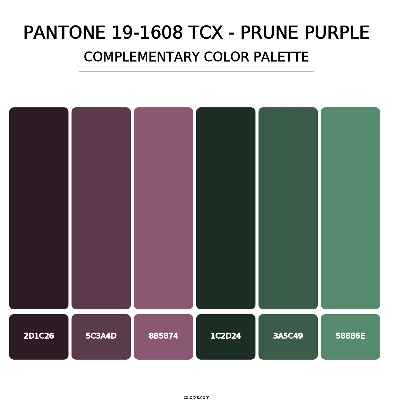 PANTONE 19-1608 TCX - Prune Purple - Complementary Color Palette
