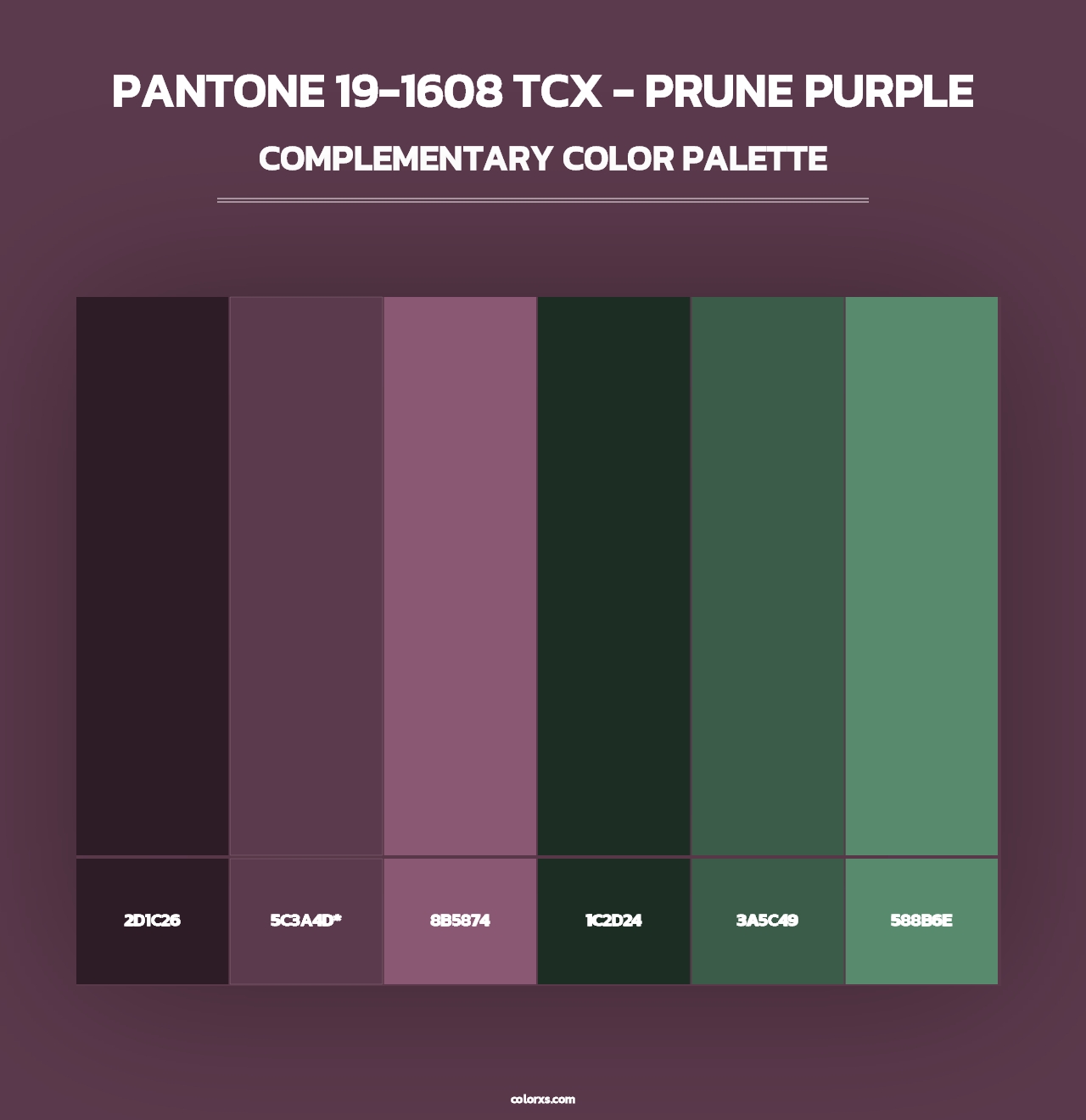 PANTONE 19-1608 TCX - Prune Purple - Complementary Color Palette