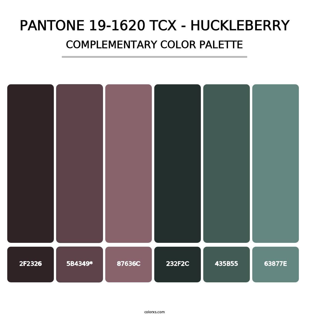 PANTONE 19-1620 TCX - Huckleberry - Complementary Color Palette