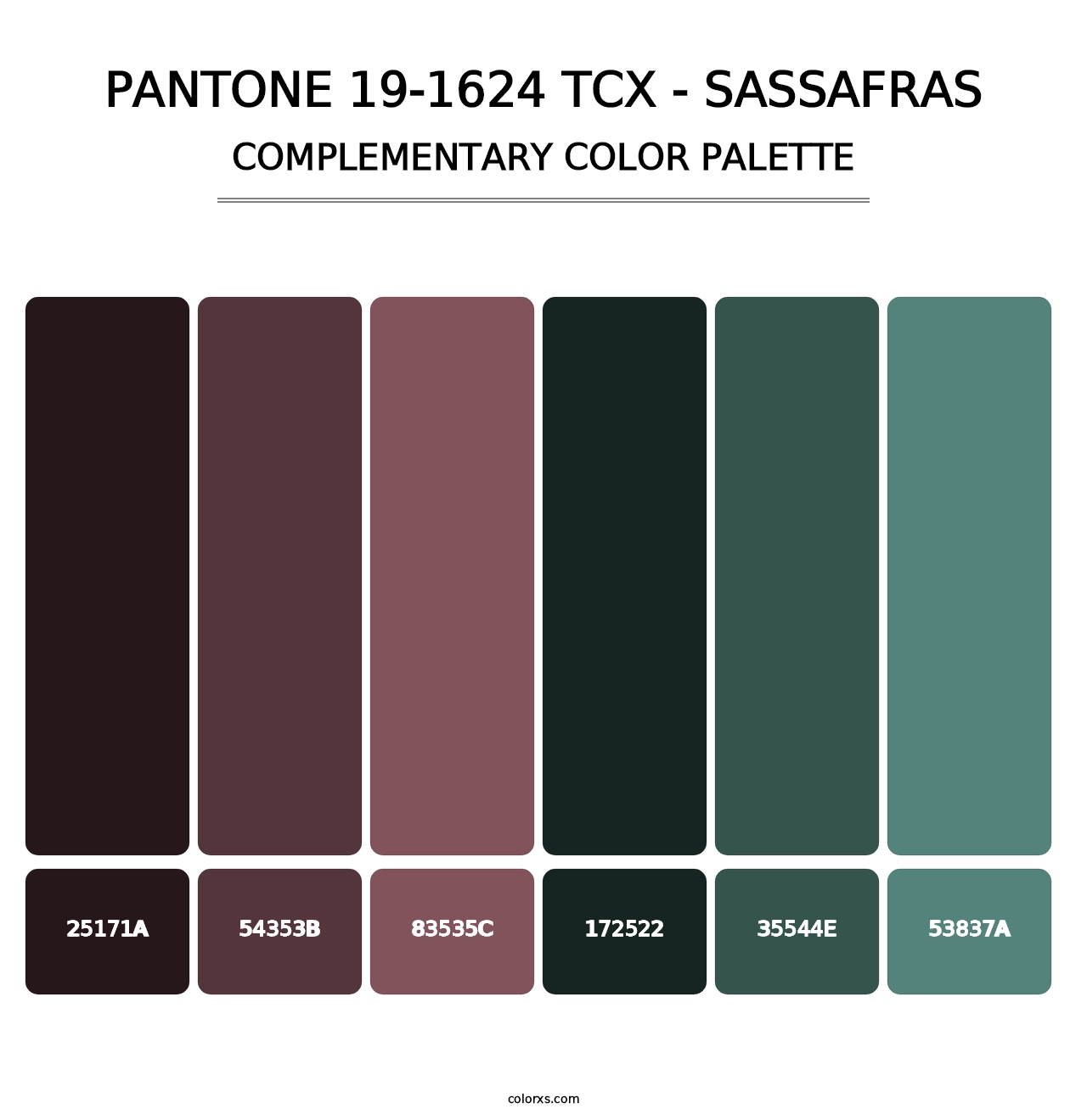 PANTONE 19-1624 TCX - Sassafras - Complementary Color Palette