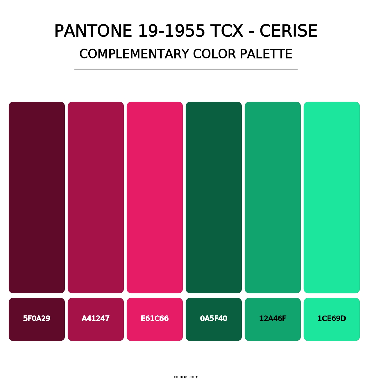 PANTONE 19-1955 TCX - Cerise - Complementary Color Palette