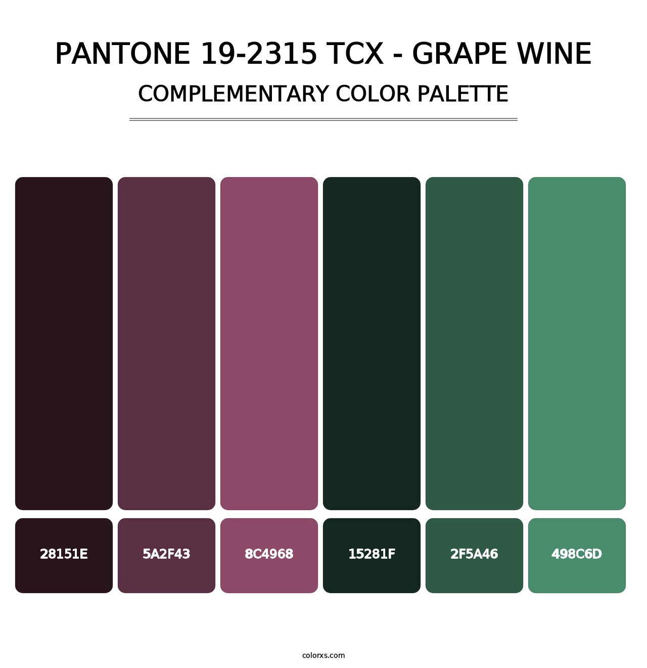 PANTONE 19-2315 TCX - Grape Wine - Complementary Color Palette