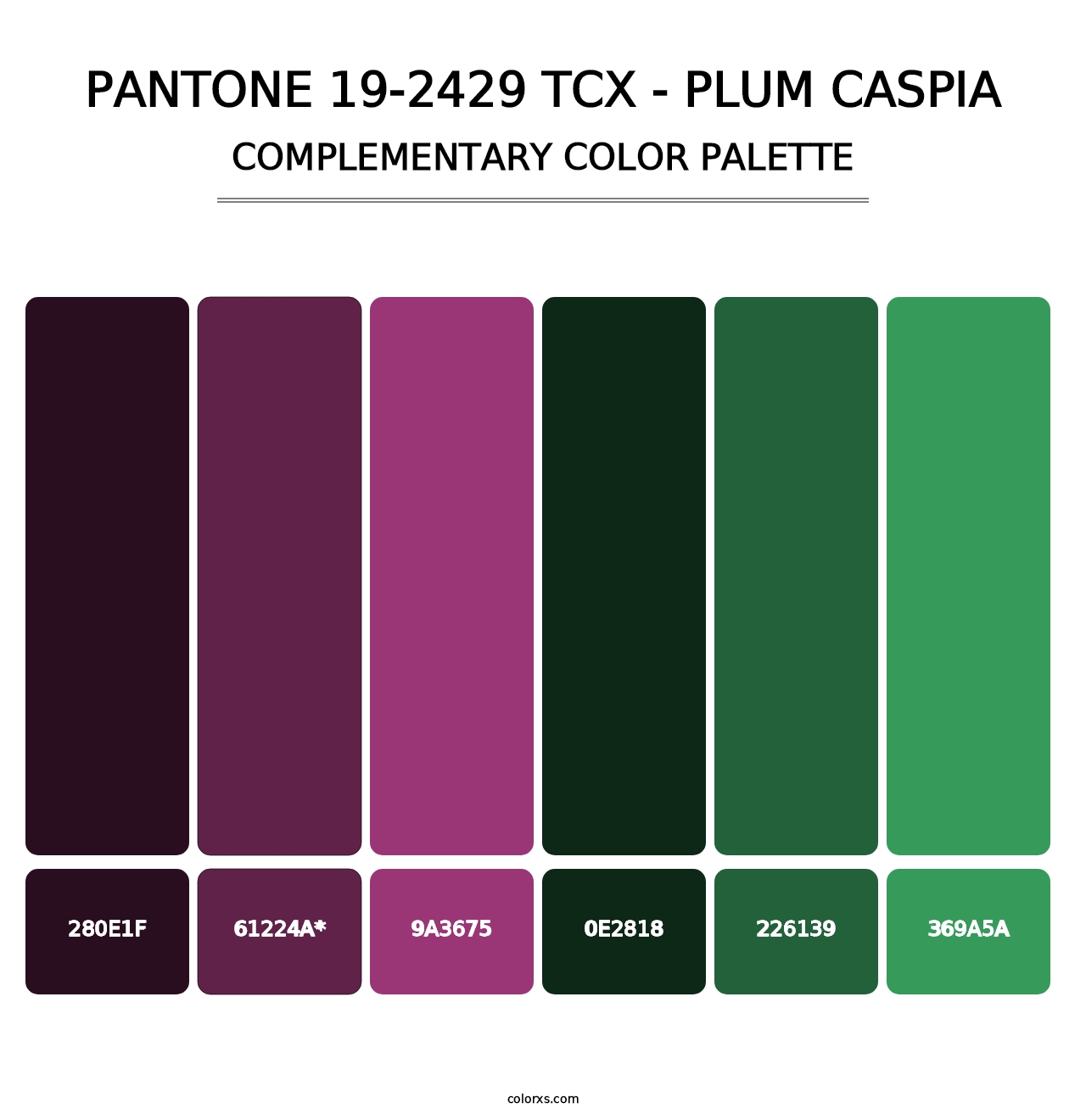 PANTONE 19-2429 TCX - Plum Caspia - Complementary Color Palette