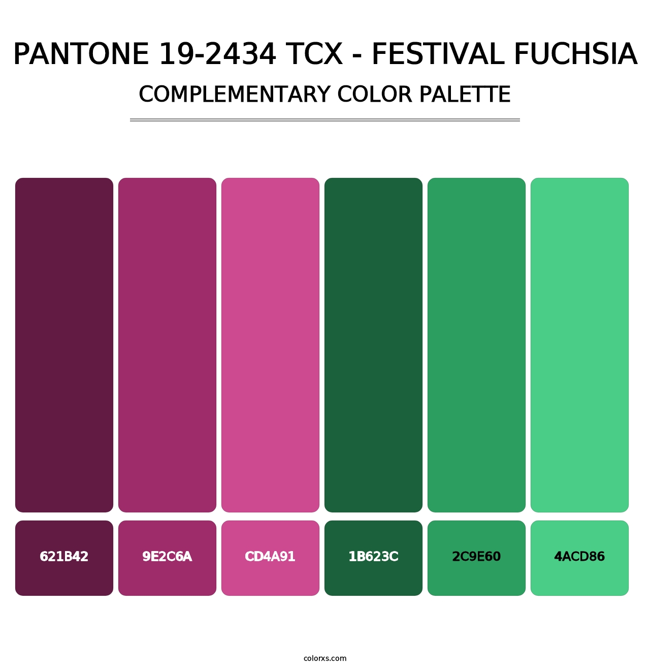 PANTONE 19-2434 TCX - Festival Fuchsia - Complementary Color Palette