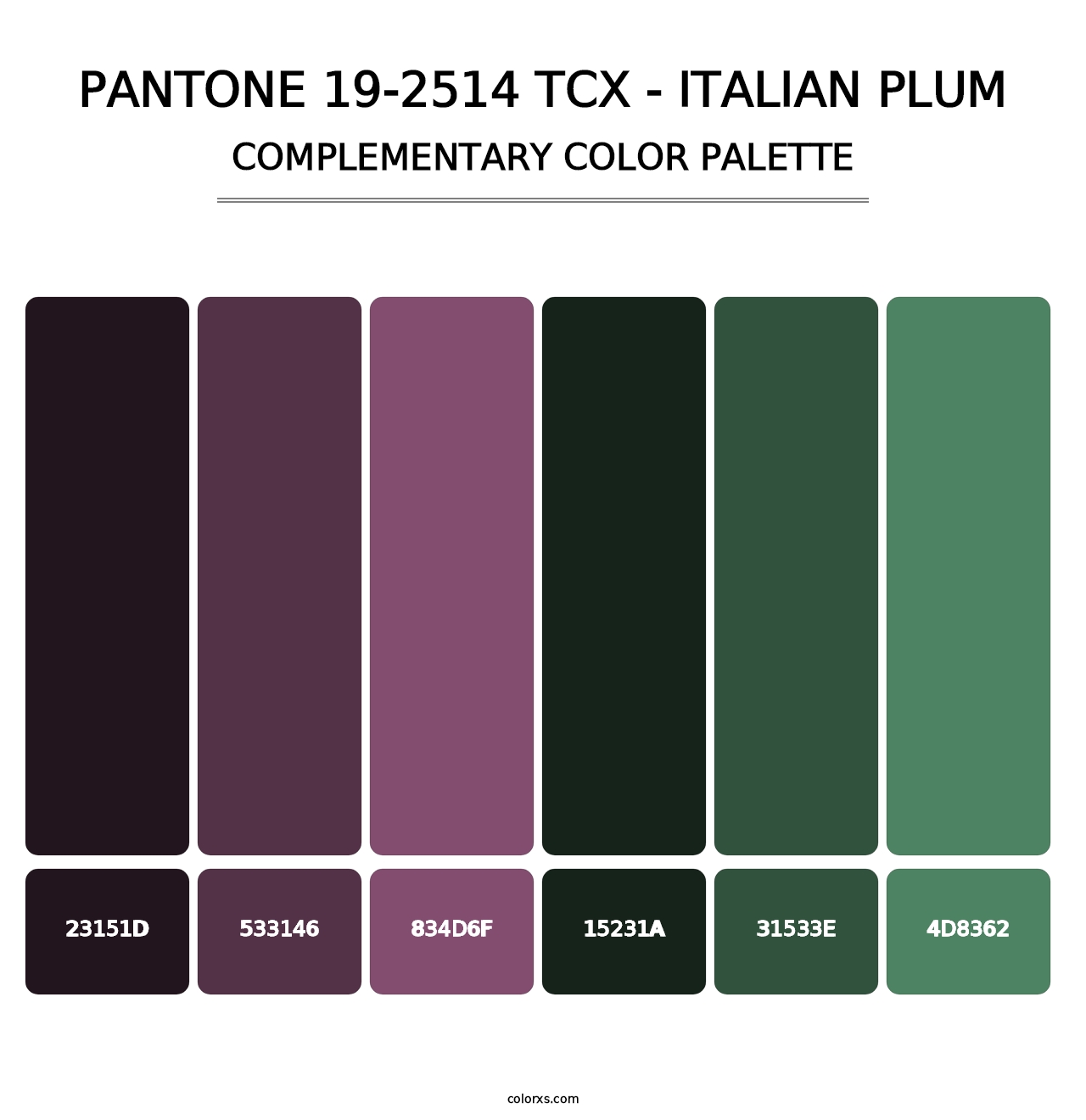 PANTONE 19-2514 TCX - Italian Plum - Complementary Color Palette