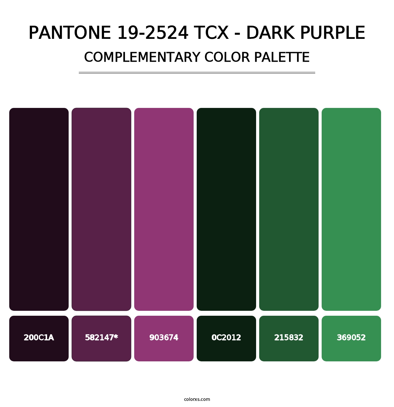 PANTONE 19-2524 TCX - Dark Purple - Complementary Color Palette