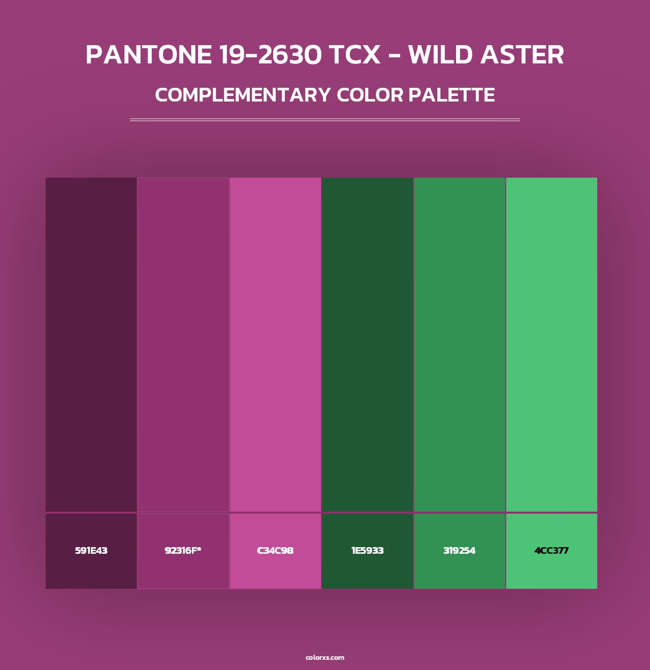PANTONE 19-2630 TCX - Wild Aster - Complementary Color Palette