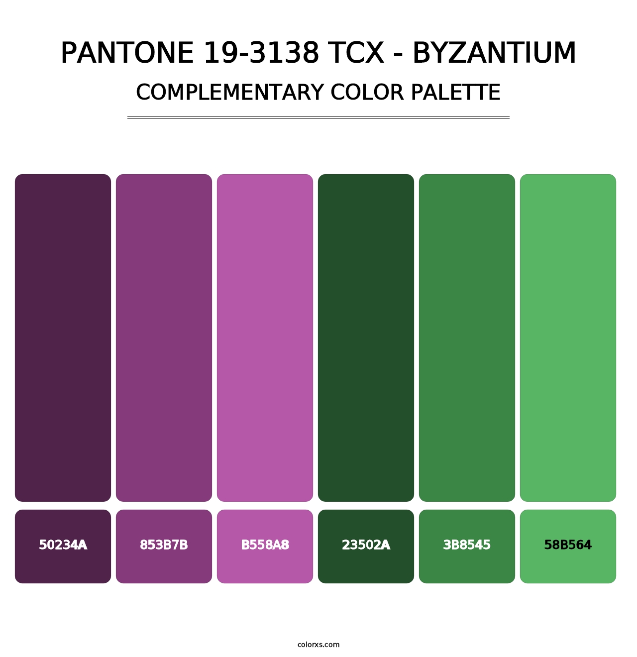 PANTONE 19-3138 TCX - Byzantium - Complementary Color Palette