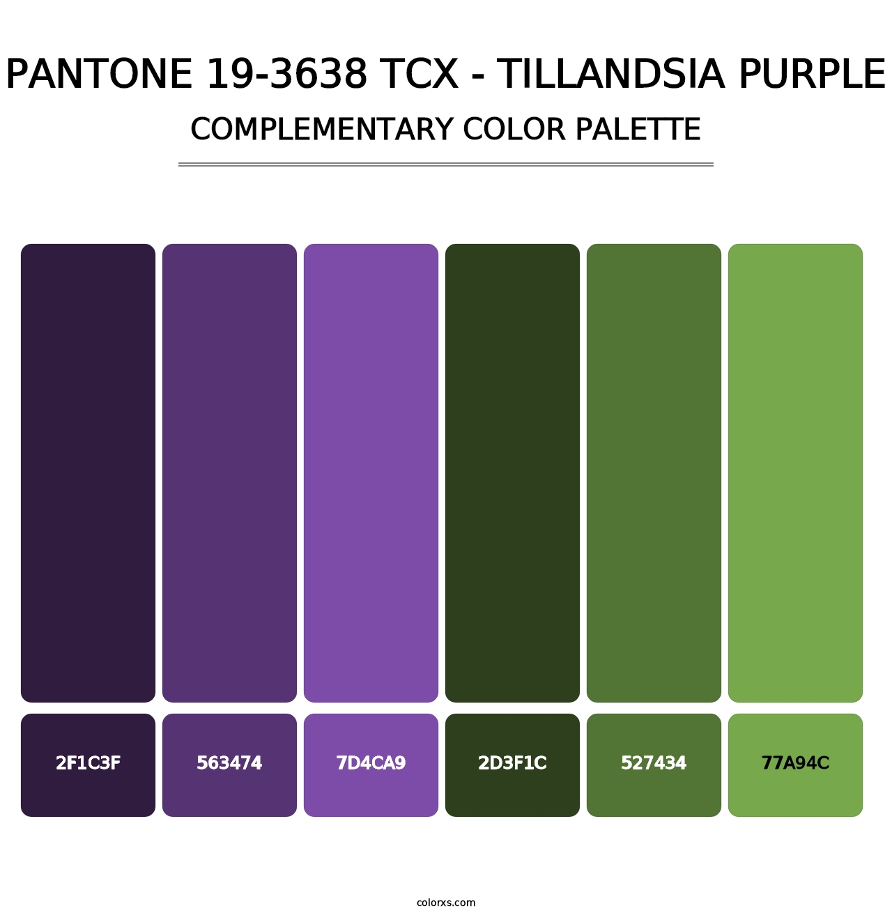 PANTONE 19-3638 TCX - Tillandsia Purple - Complementary Color Palette