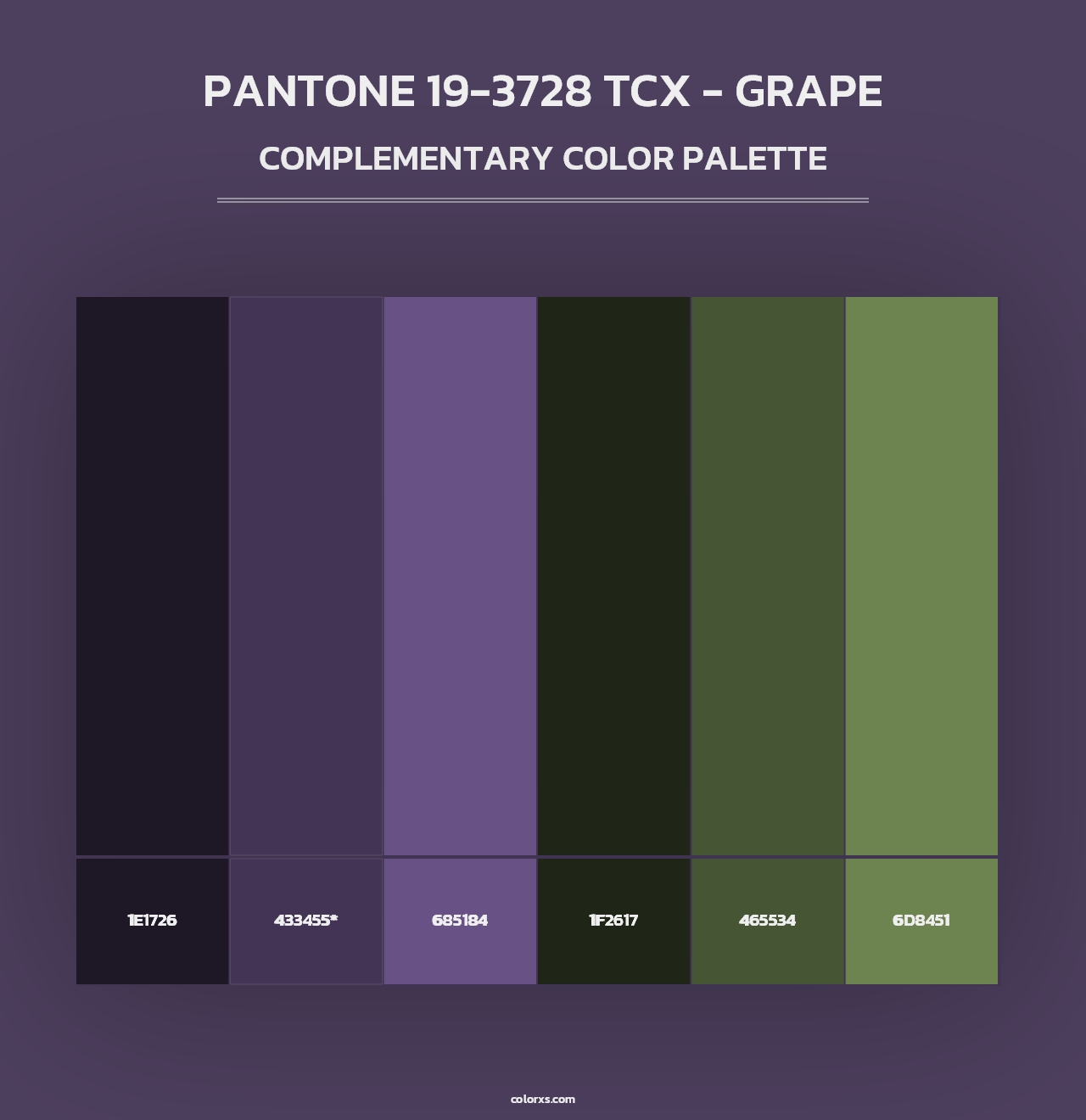 PANTONE 19-3728 TCX - Grape - Complementary Color Palette