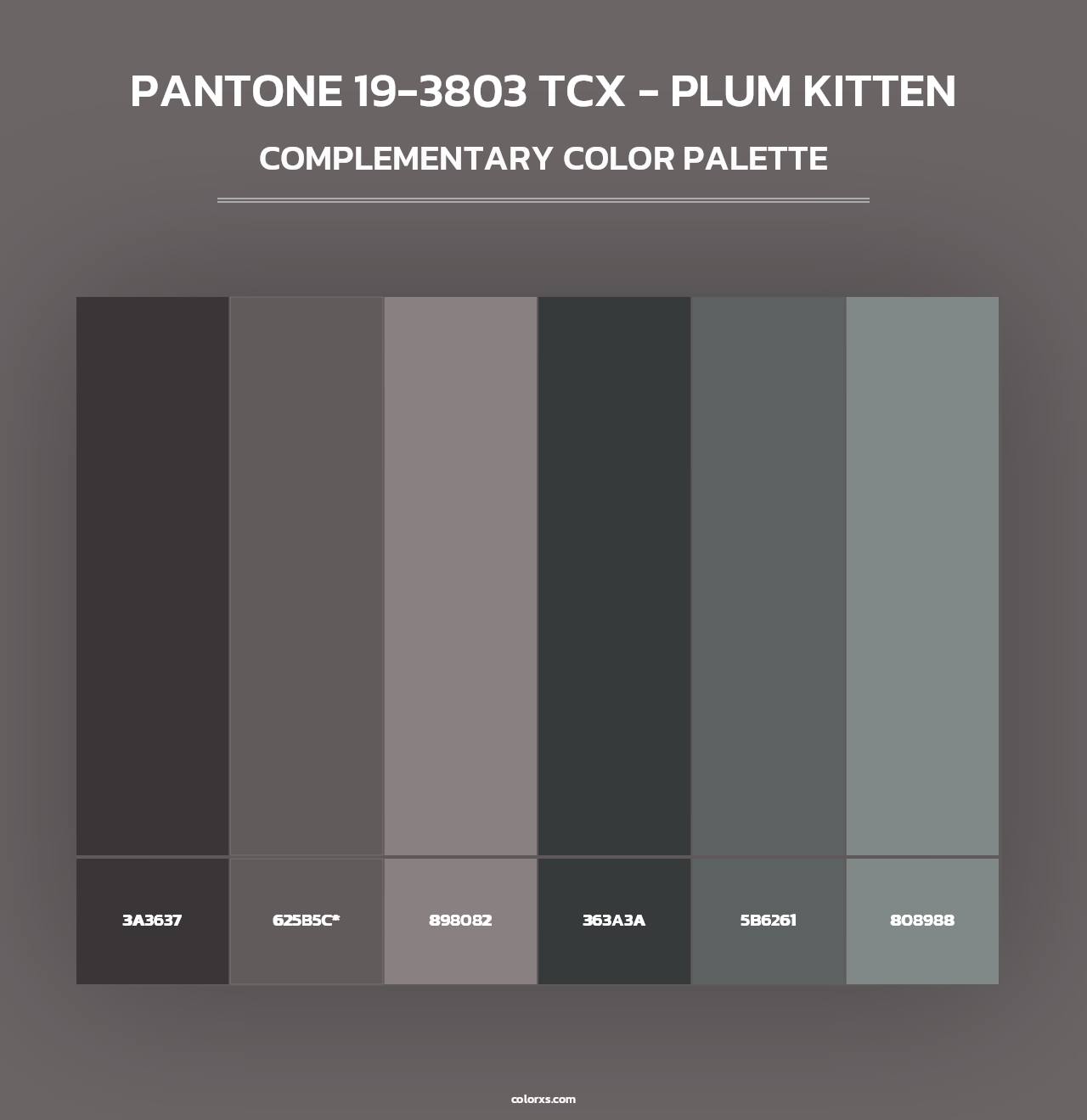 PANTONE 19-3803 TCX - Plum Kitten - Complementary Color Palette