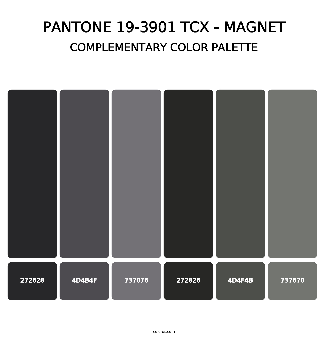 PANTONE 19-3901 TCX - Magnet - Complementary Color Palette