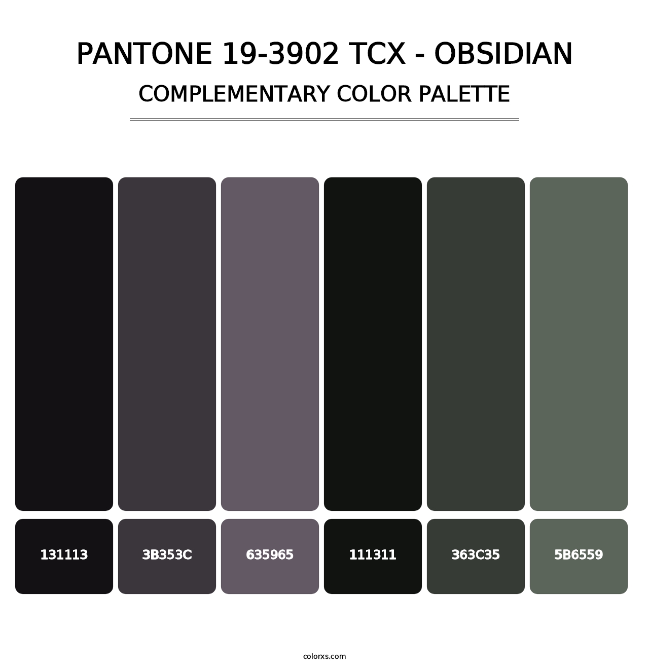 PANTONE 19-3902 TCX - Obsidian - Complementary Color Palette