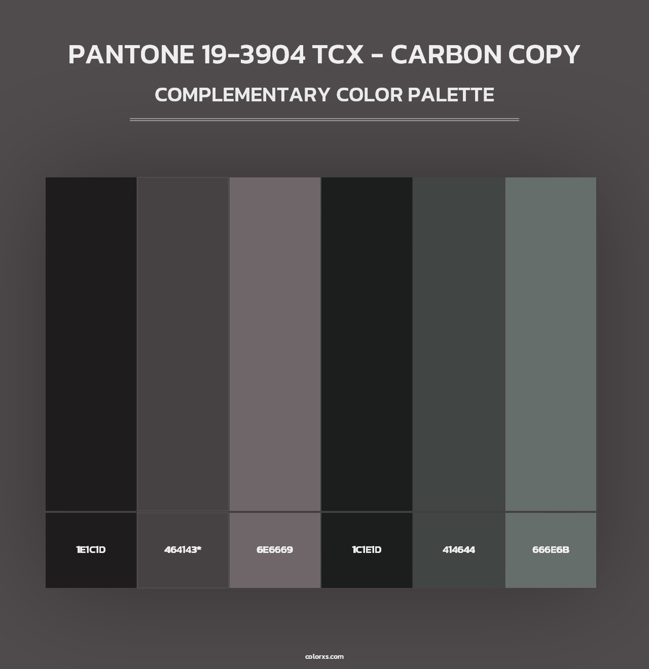 PANTONE 19-3904 TCX - Carbon Copy - Complementary Color Palette