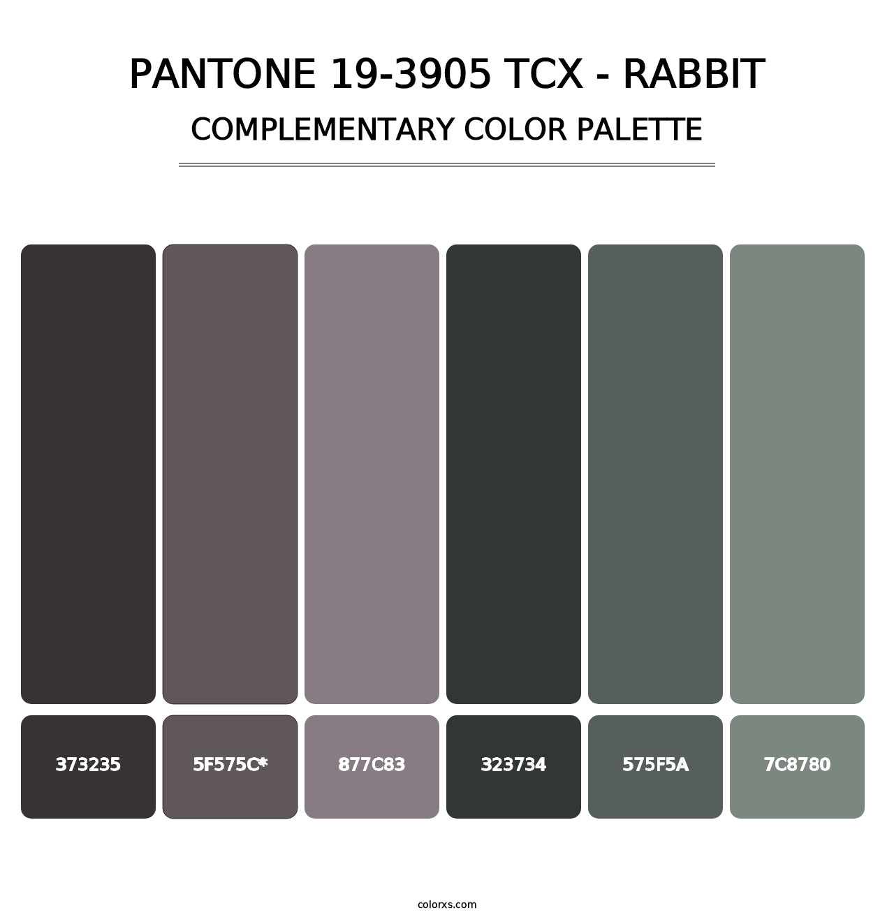 PANTONE 19-3905 TCX - Rabbit - Complementary Color Palette