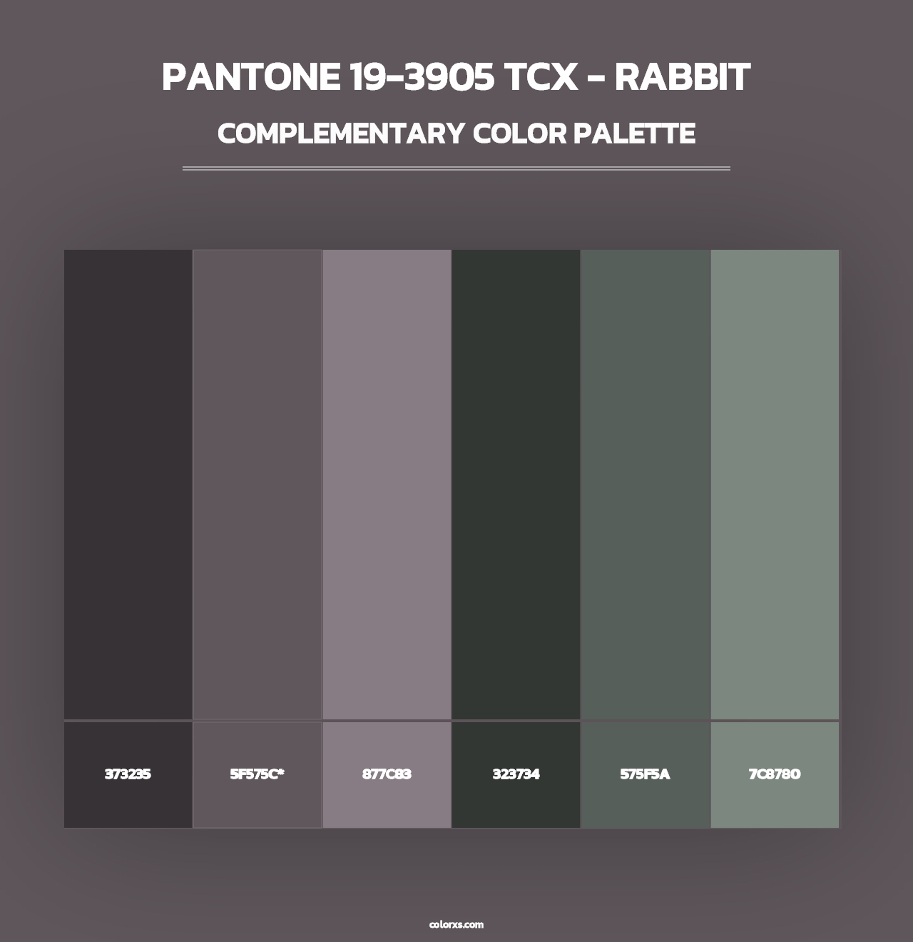PANTONE 19-3905 TCX - Rabbit - Complementary Color Palette
