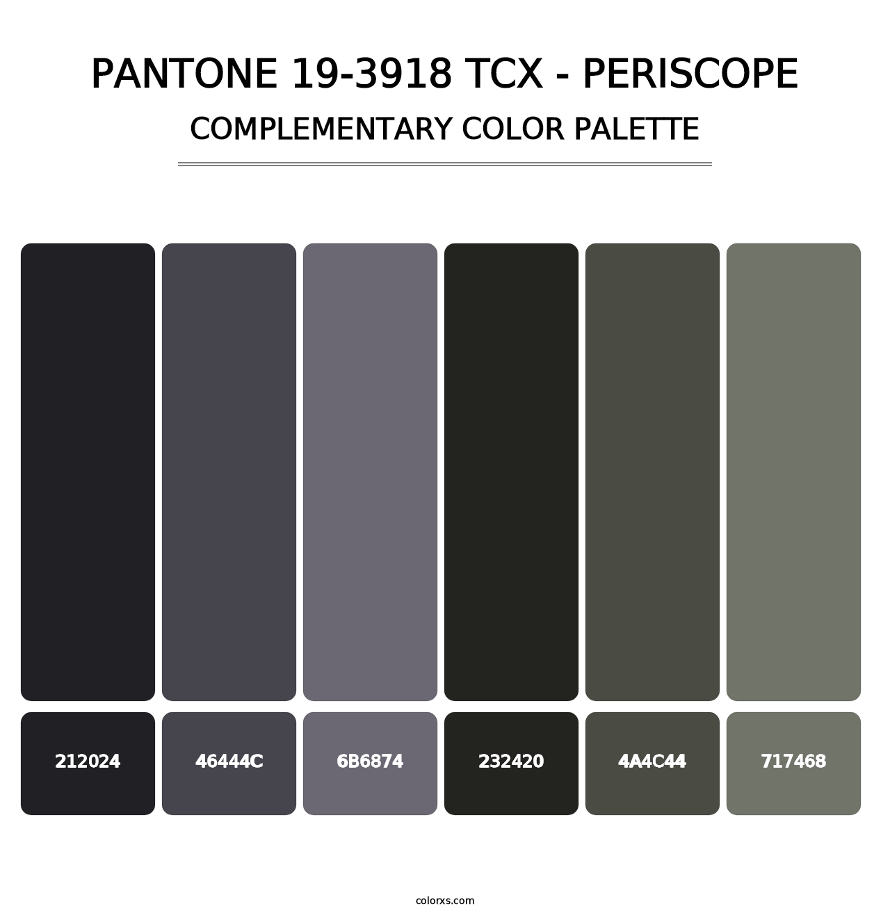 PANTONE 19-3918 TCX - Periscope - Complementary Color Palette