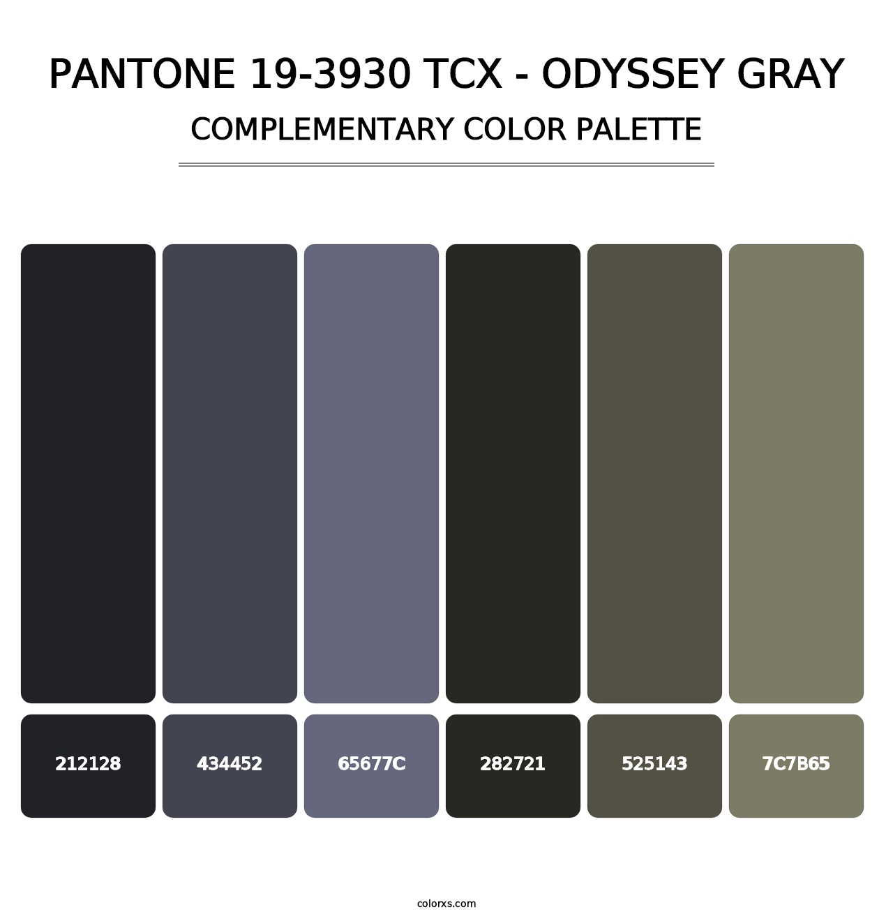 PANTONE 19-3930 TCX - Odyssey Gray - Complementary Color Palette