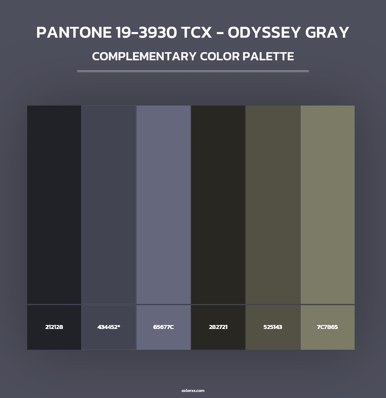 PANTONE 19-3930 TCX - Odyssey Gray - Complementary Color Palette