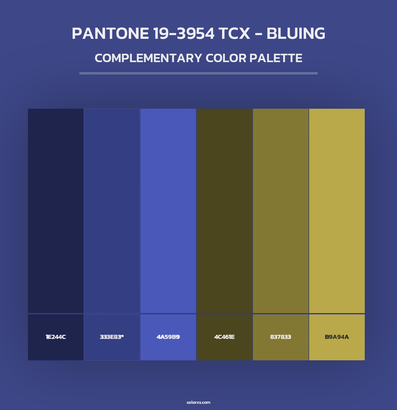 PANTONE 19-3954 TCX - Bluing - Complementary Color Palette