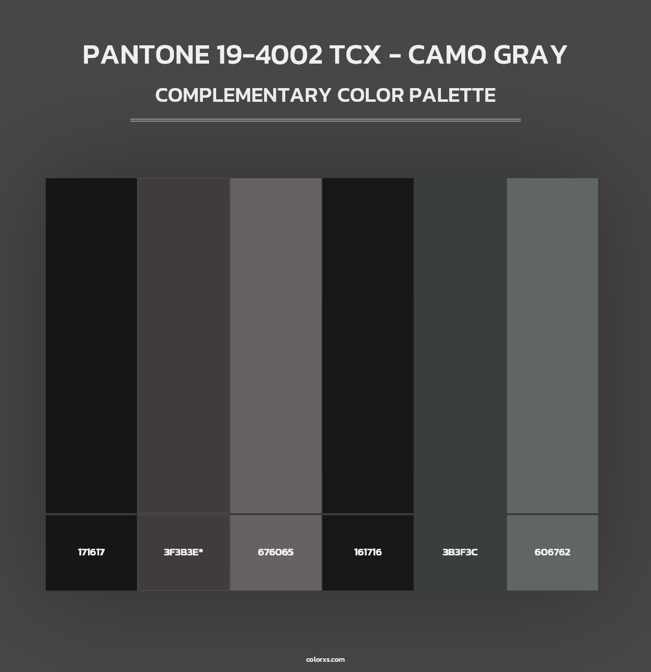 PANTONE 19-4002 TCX - Camo Gray - Complementary Color Palette