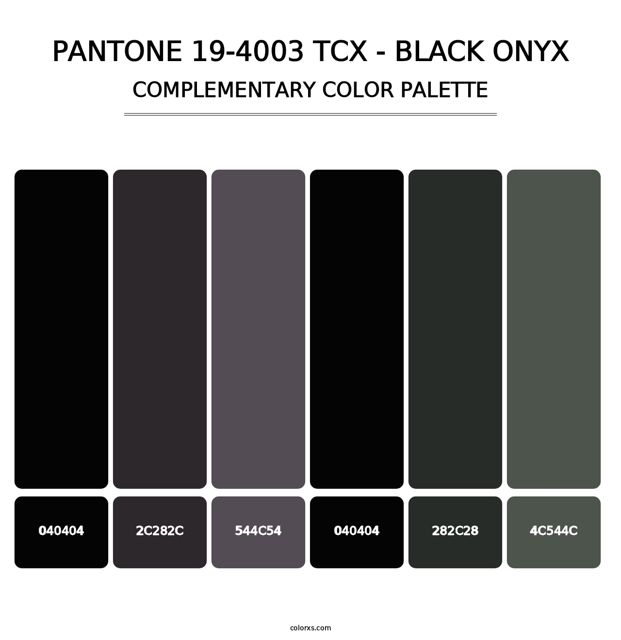 PANTONE 19-4003 TCX - Black Onyx - Complementary Color Palette