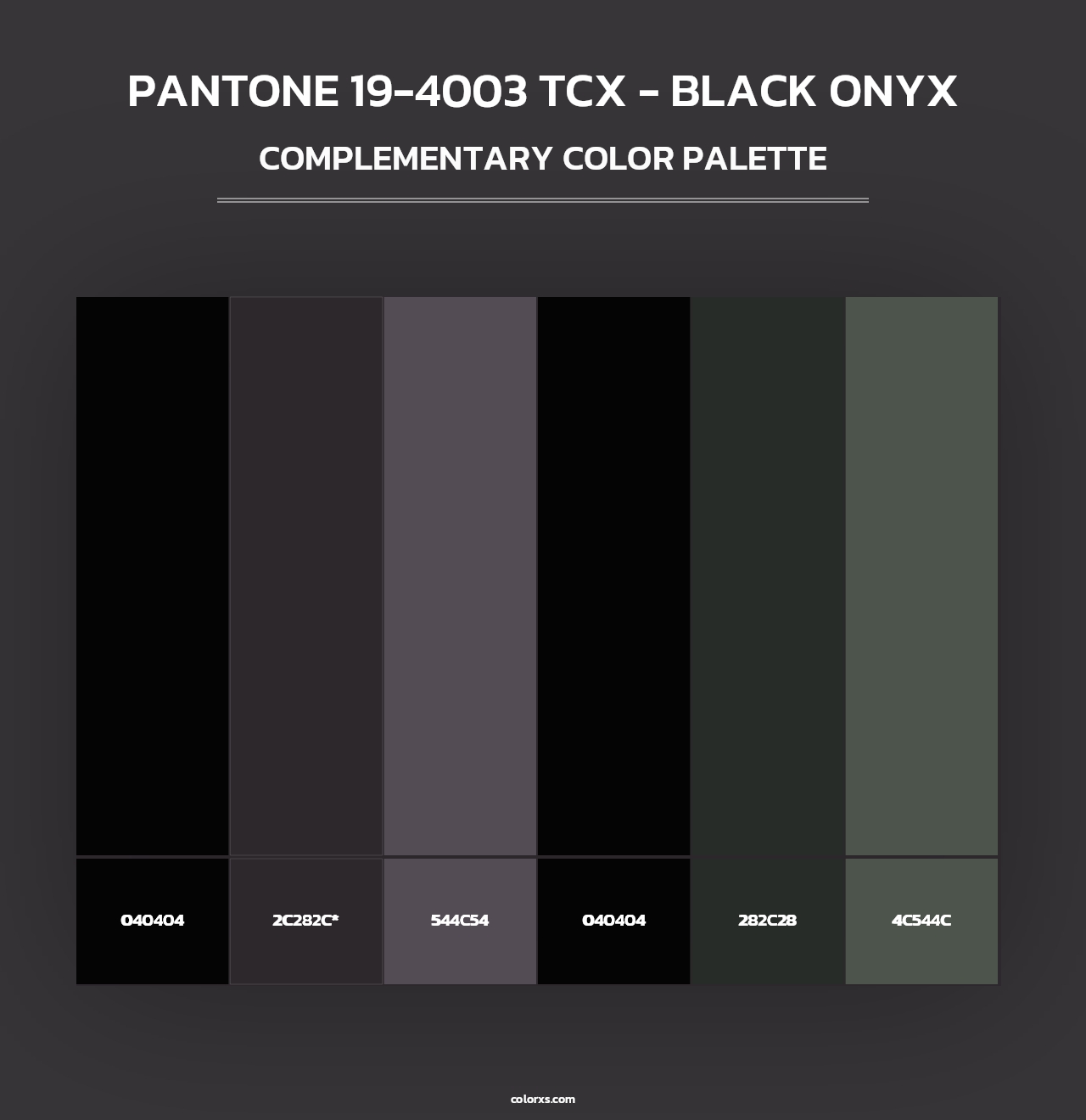 PANTONE 19-4003 TCX - Black Onyx - Complementary Color Palette