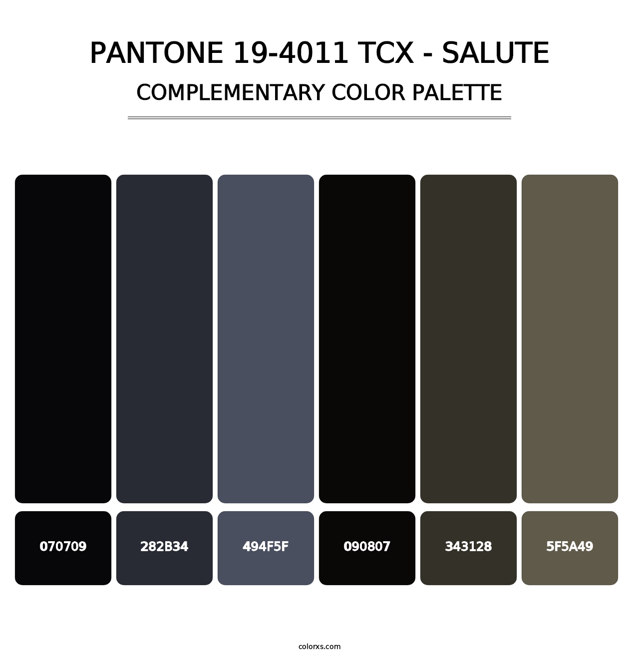 PANTONE 19-4011 TCX - Salute - Complementary Color Palette