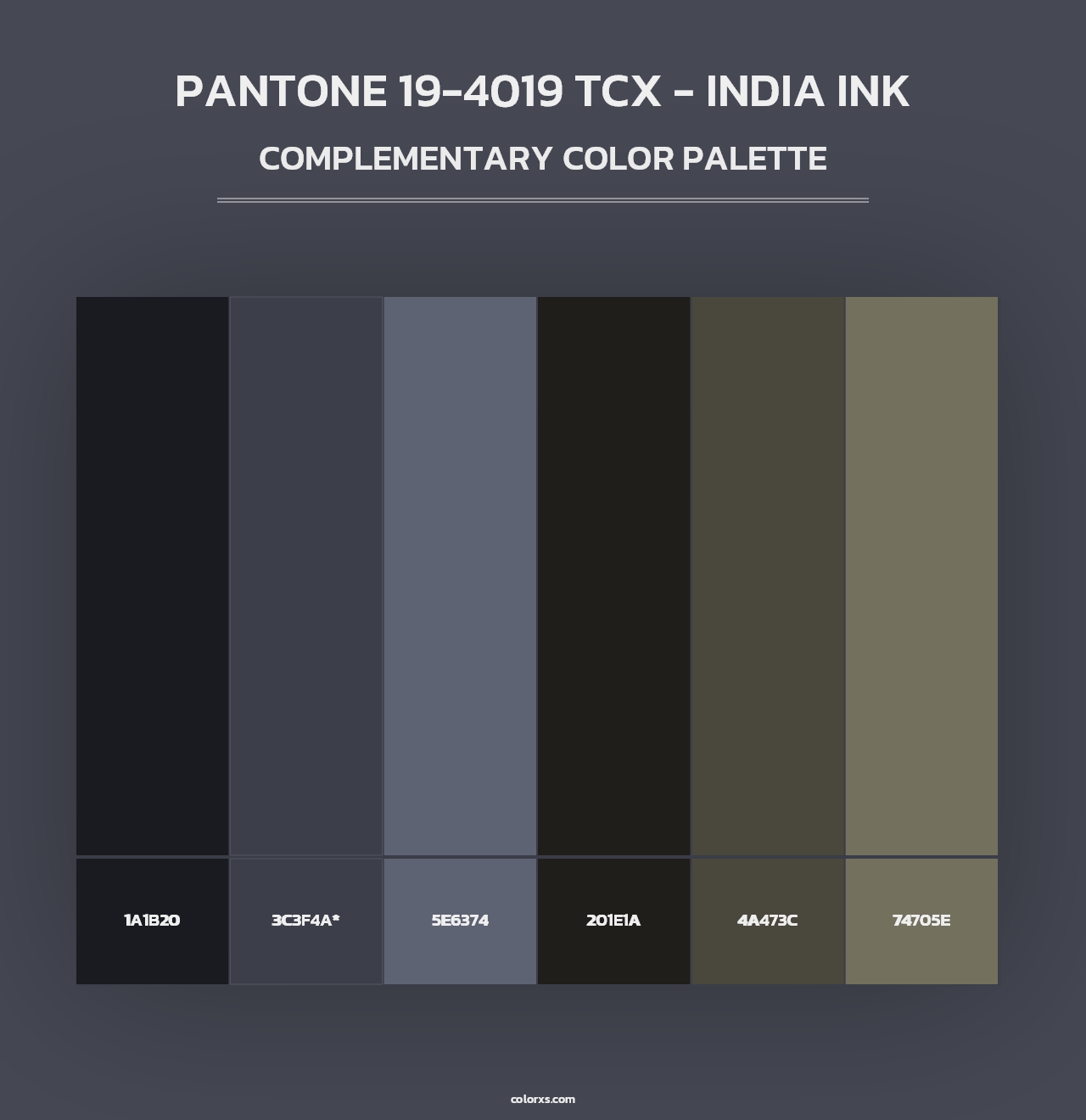 PANTONE 19-4019 TCX - India Ink - Complementary Color Palette