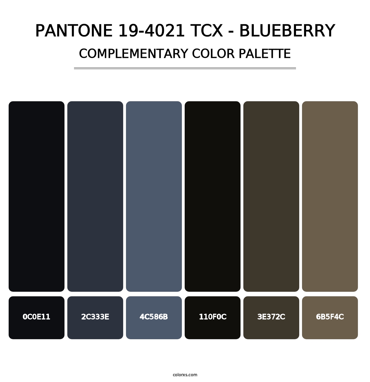 PANTONE 19-4021 TCX - Blueberry - Complementary Color Palette