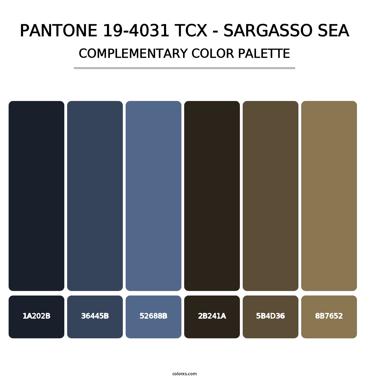 PANTONE 19-4031 TCX - Sargasso Sea - Complementary Color Palette