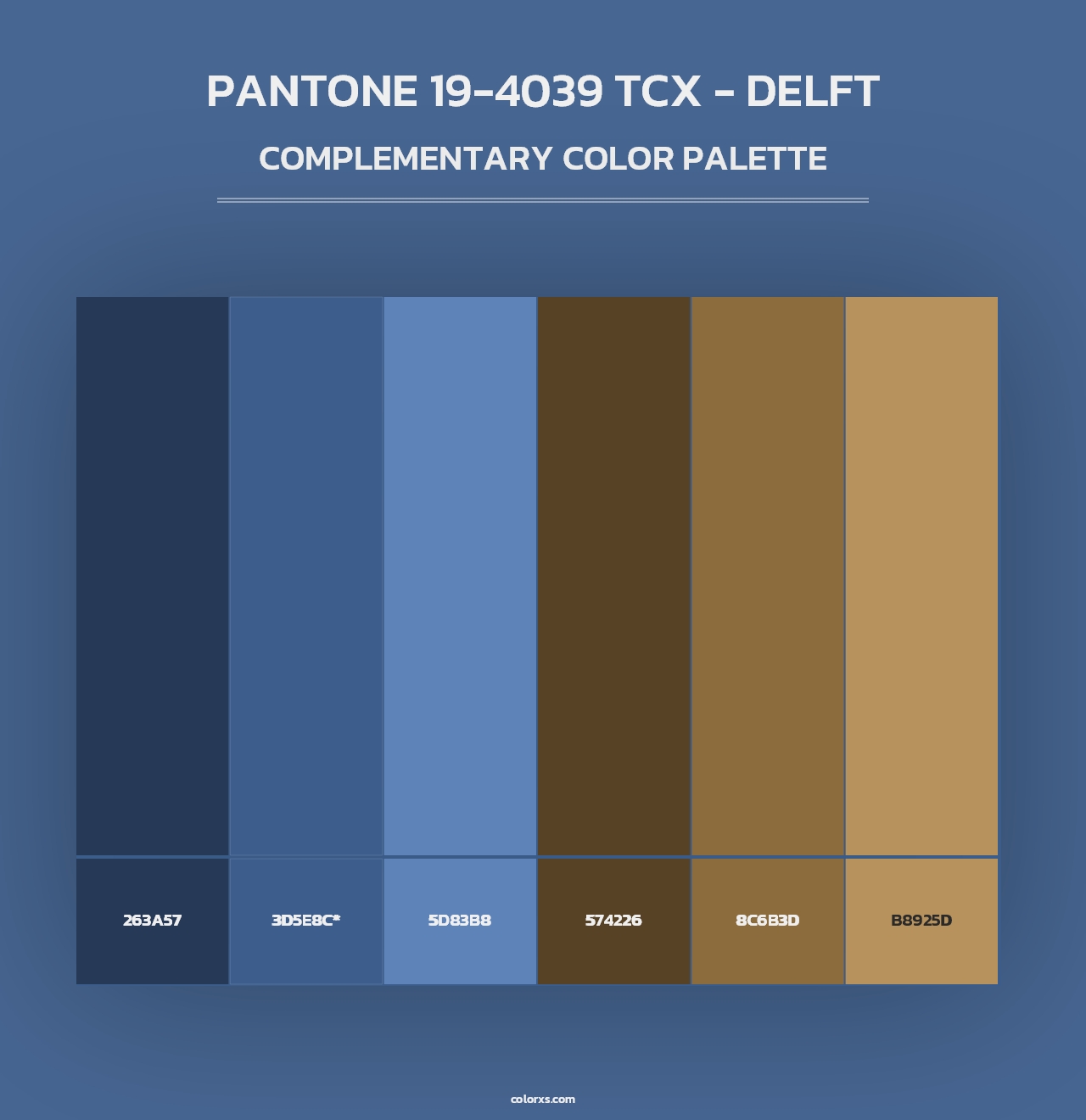 PANTONE 19-4039 TCX - Delft - Complementary Color Palette