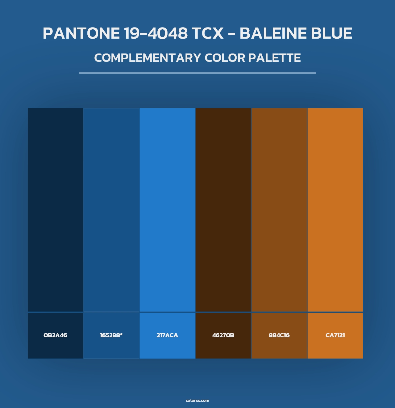 PANTONE 19-4048 TCX - Baleine Blue - Complementary Color Palette