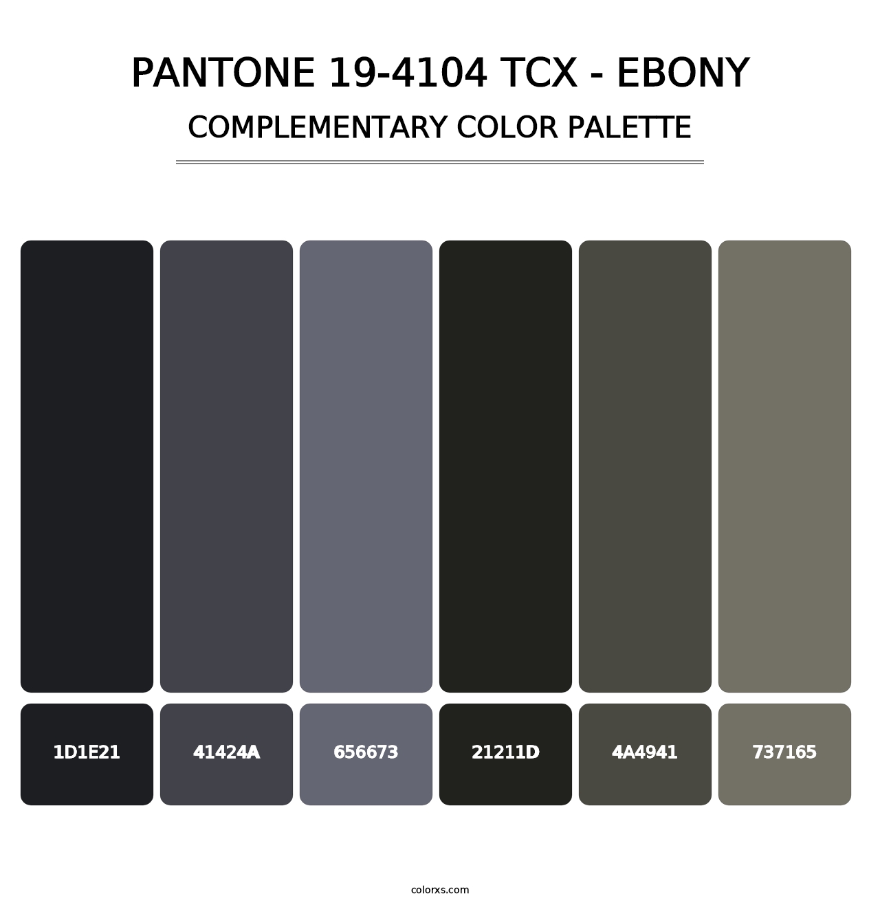 PANTONE 19-4104 TCX - Ebony - Complementary Color Palette