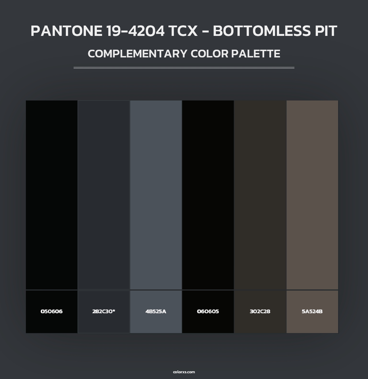 PANTONE 19-4204 TCX - Bottomless Pit - Complementary Color Palette