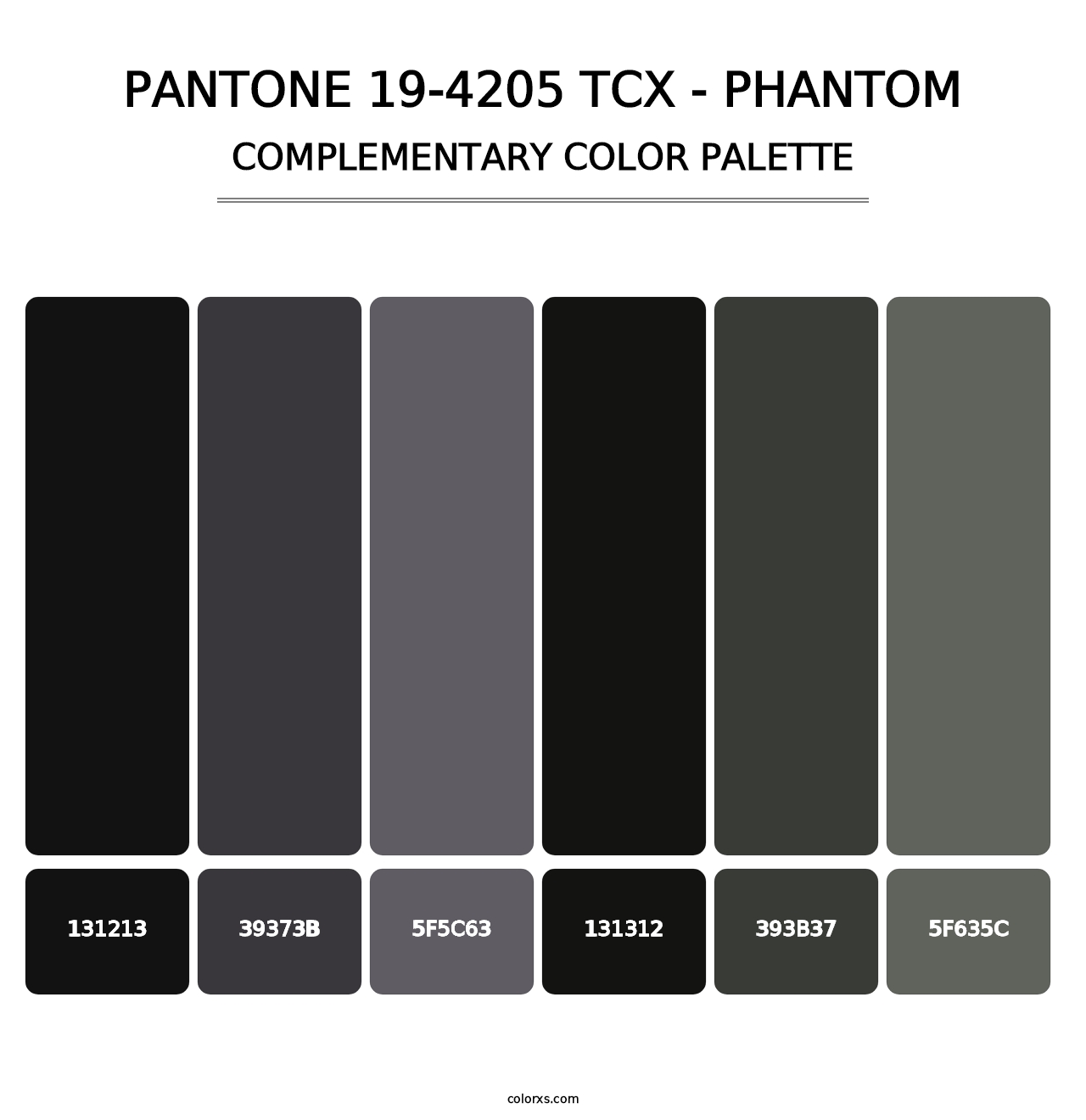 PANTONE 19-4205 TCX - Phantom - Complementary Color Palette