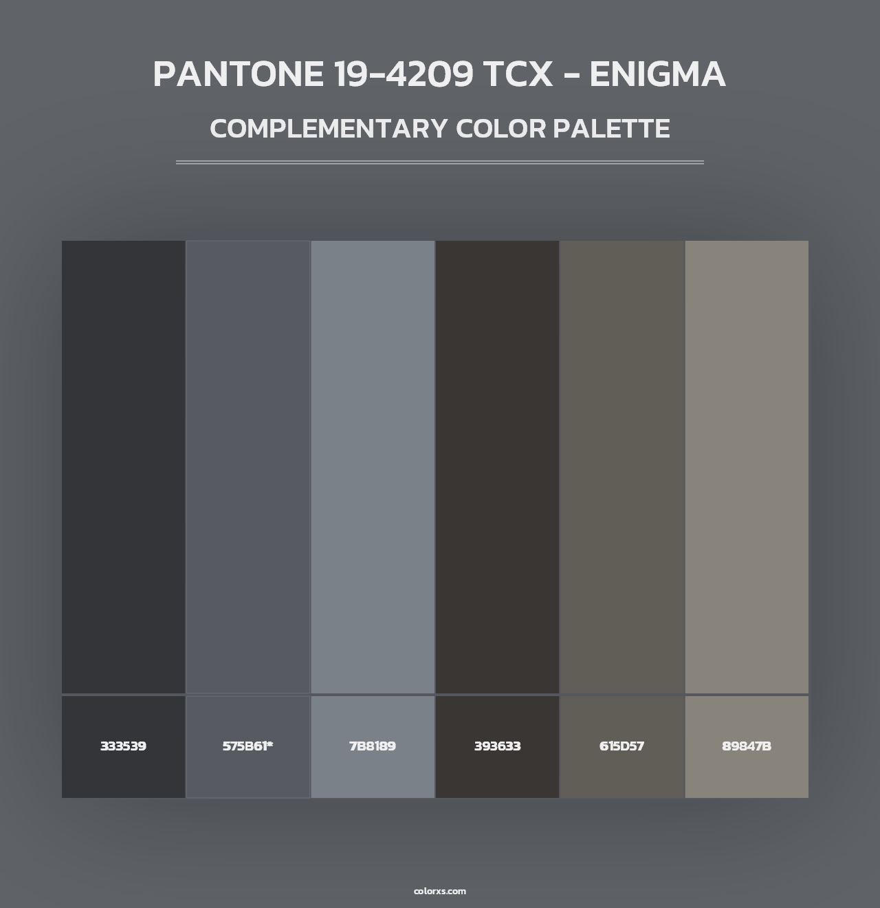 PANTONE 19-4209 TCX - Enigma - Complementary Color Palette